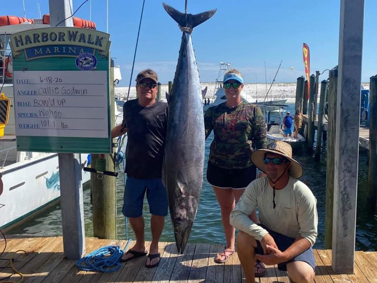 Deep-Sea Fishing Charters Destin - Bow’d Up Fishing