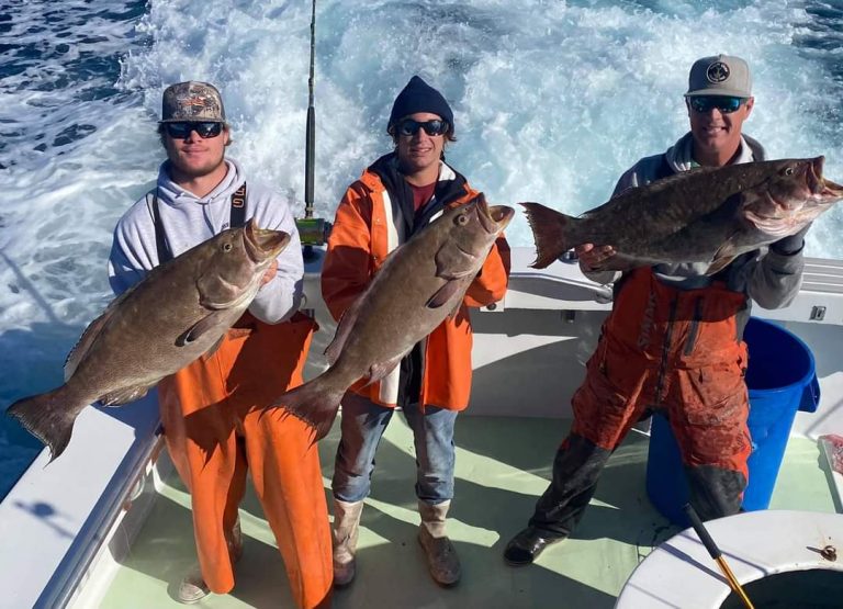 Deep-Sea Fishing Charters Destin - Bow’d Up Fishing