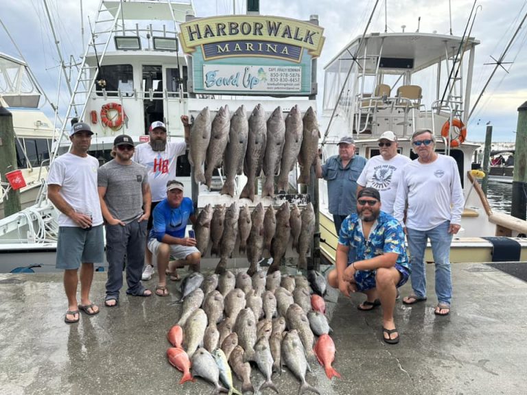 Deep-Sea Fishing Charters Destin - Bow’d Up Fishing